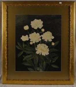 White Peonies by Ellen Robbins