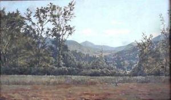 Landscape - view 1