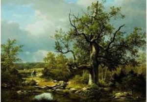 Paysage D'etang Dans La Campagne Pres De Fontainebleau