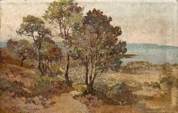 Sommerliche Kustenlandschaft - view 1