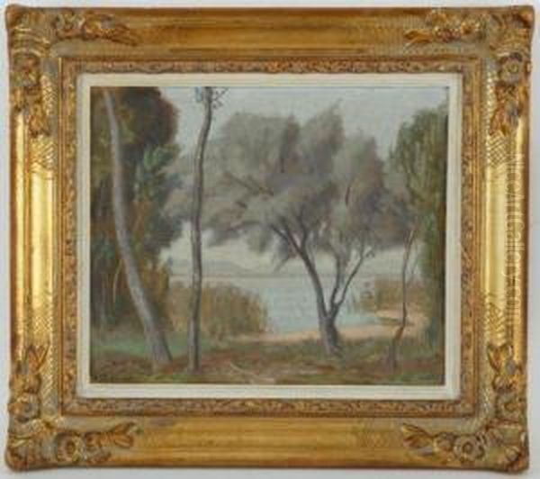 Paysage Lacustre - view 1