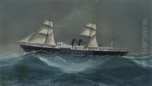The Pacific Steam Navigation Company's
Liguria
In A Gale In The Bay Of Biscay by Luigi Roberto