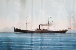 S.s. Runo Of Sunderland Entering The Bay Ofnaples