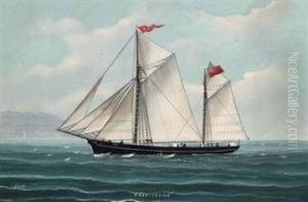 The Jersey Ketch - view 1
