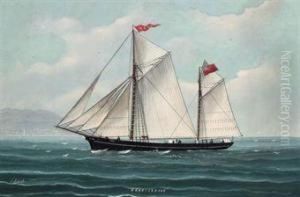 The Jersey Ketch by Luigi Roberto