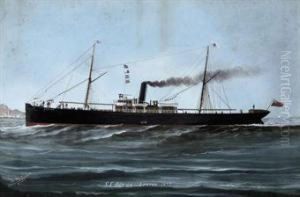 The S.s. 
Ortiga 
 In Full-steam Off Genoa