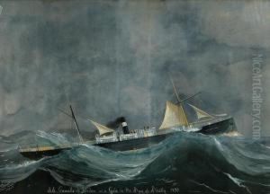 S. S. Grenville by Luigi Roberto