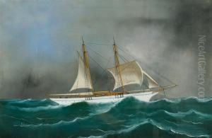 Steam Yacht Royal Northen Yacht by Luigi Roberto