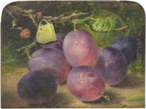 Still Life Of Plums With A Cabbage White by Benjamin Roberts