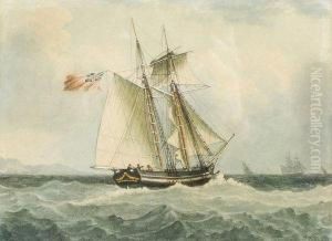 Marine by David Roberts