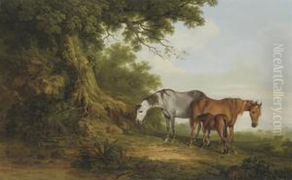 Mares And A Foal In A Wooded Landscape - view 1