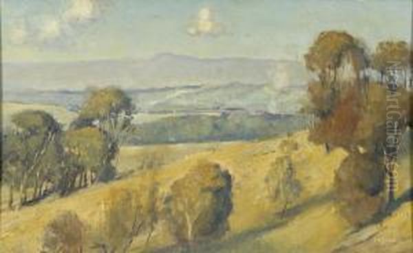 (dandenong Landscape) - view 1