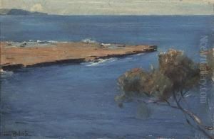 (coastal Scene, Nsw) by Tom Roberts