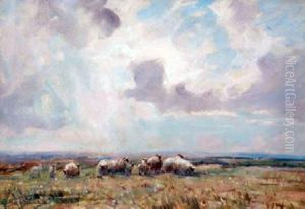 Sheep Grazing In An Open Landscape - view 1