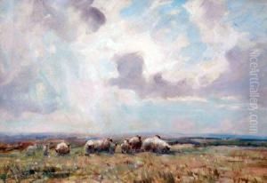 Sheep Grazing In An Open Landscape