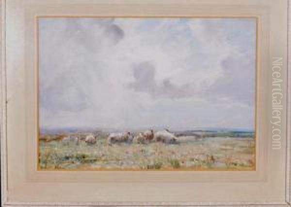 Sheep On A Moor In Springtime - view 1
