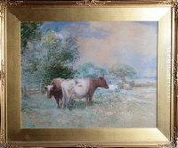 Cows In A Field - view 1