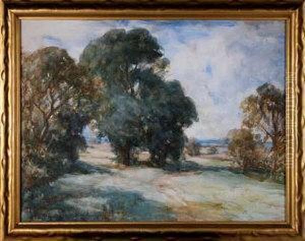 Sunlit Trees - view 1