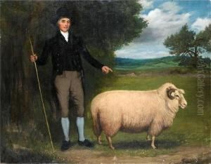 The Prize Ewe