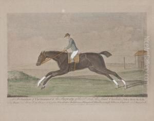 Uomo A Cavallo by Henry Robertson