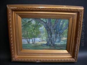 The Old Oaks Watercolour Signed To Lower Left 27cm X 38cm by James Mcculloch Robertson