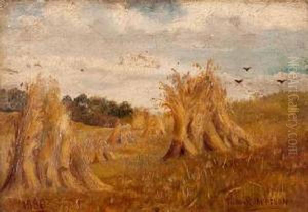 Wheatfield, Baird's Farm - view 1