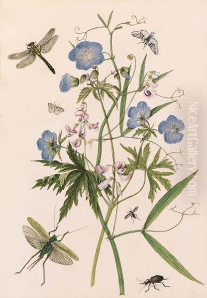 Meadow Crane's-bill, And Wild Pea With Dragonflies And A Stagbeetle; And Yellow Iris, With A Large Tortoiseshell, Moths And Astag Beetle - view 1