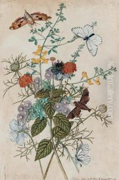A Pair Of Watercolours Of Flowers And Insects Including :palamedes; Almana Butterflies; Berry-like Heath, Hoardy-leavedcistus; Lantana; Prickly Broom And Spanish Fennel - view 1