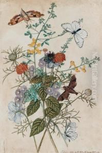 A Pair Of Watercolours Of Flowers And Insects Including :palamedes; Almana Butterflies; Berry-like Heath, Hoardy-leavedcistus; Lantana; Prickly Broom And Spanish Fennel