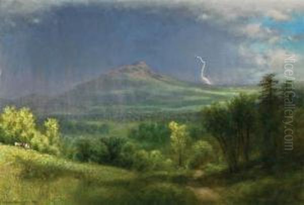 Owl's Head In Storm In Vermont - view 1