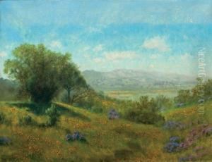 Poppies With Mt. Tamalpais In The Distance by Charles Robinson