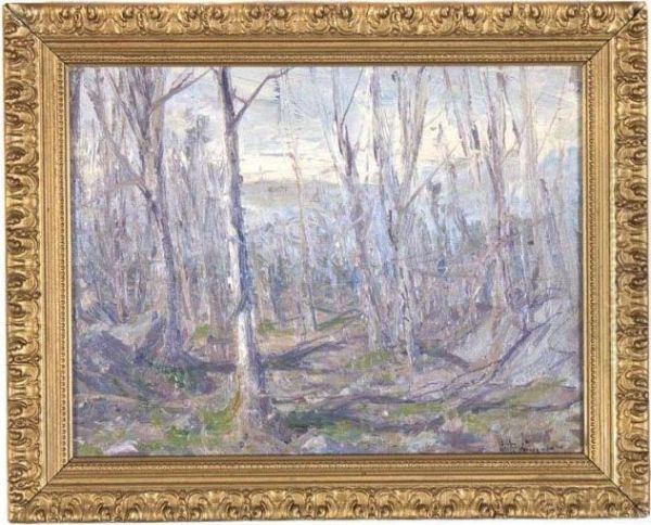 Forest Landscape - view 1