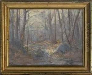 A Stream In A Forest by Hal Robinson