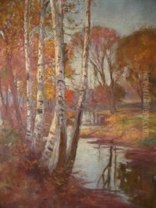 Birch Trees In Fall