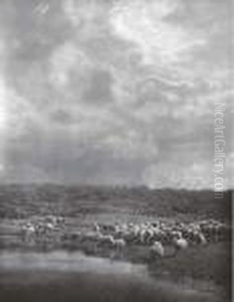 Storm Clearing Off - view 1