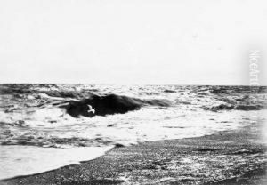 The Bearded Margent Of The Sea