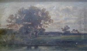Cows In A Landscape by John Robinson