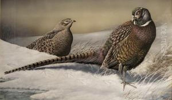 Pheasants In The Snow - view 1