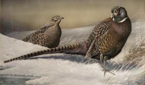 Pheasants In The Snow by R. Robinson