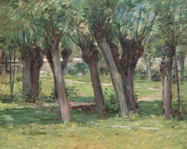 Outside The Garden Wall - view 1