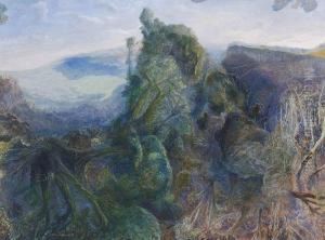 Tweed Valley Rainforest Ridge And Beechmont by William Robinson