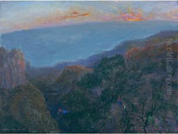 Dawn And Crimson Rosellas - view 1