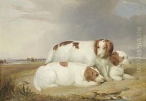 A Portrait Of Three Red And White Spaniels by William Robinson