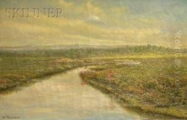 Merrymeeting River, Pittsfield, New Hampshire - view 1