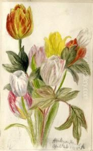 Botanical by Jane Sophia Robson