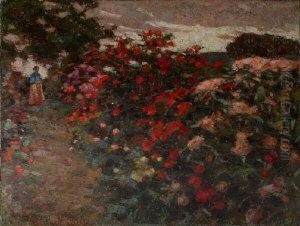 A Summer Garden A Summer Garden
