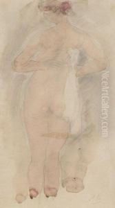 Nu De Dos by Odilon Roche
