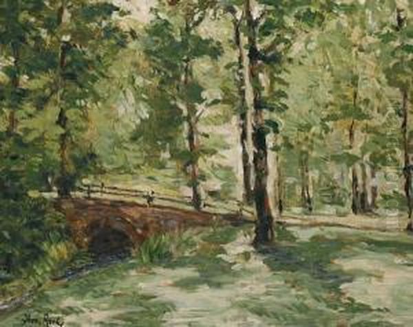 Path Through The Woods - view 1