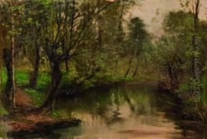 Sottobosco Con Ruscello by Leonardo Roda