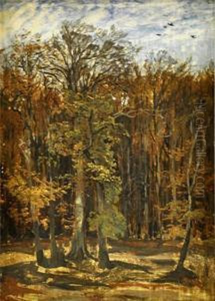 Herbstwald - view 1